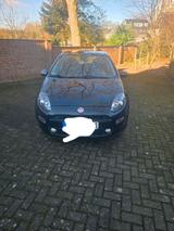 Fiat Punto 1.2L. Young erstz. 11/2016 - Fiat Punto YOUNG mit Benzin-Antrieb