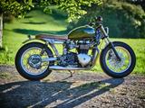 Triumph Thruxton excl. Custom Umbau - TRIUMPH THRUXTON