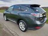Lexus RX 450 450h Executive Line Executive Line - Lexus RX 450 Gebrauchtwagen