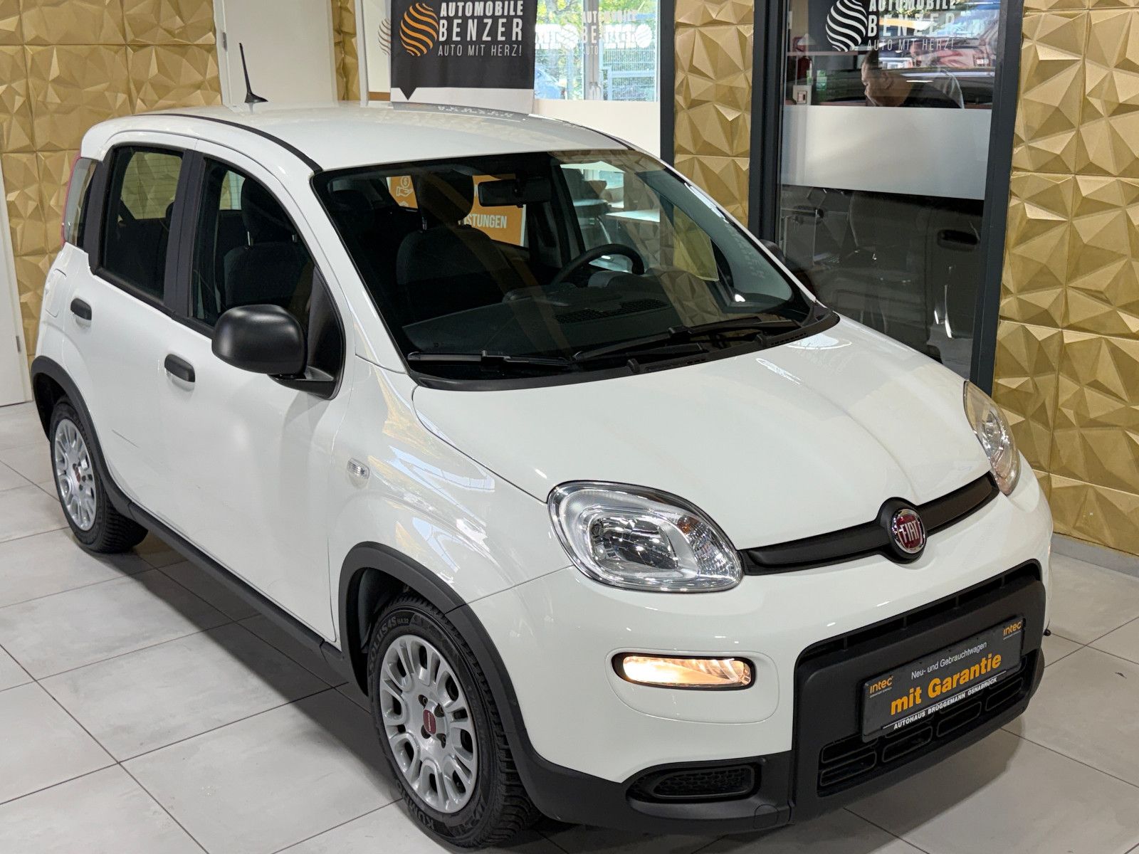 Fahrzeugabbildung Fiat Panda /KLIMA/4-TÜRER/DAB/ALLWETTER/1-HAND