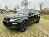 Land Rover Range Rover Evoque SE Leder Navi Kamera Panorama - Land Rover Gebrauchtwagen in Mönchengladbach