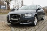 Audi A3 Sportb. 1.6 Attraction|PDC!BC!Tempo!Sitzh!Alu - Audi A3 mit Benzin-Antrieb: Limousine, Klimaanlage, 1.6