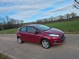 Ford FORD FIESTA JA 8 / 2014 - Ford Fiesta: Ja8