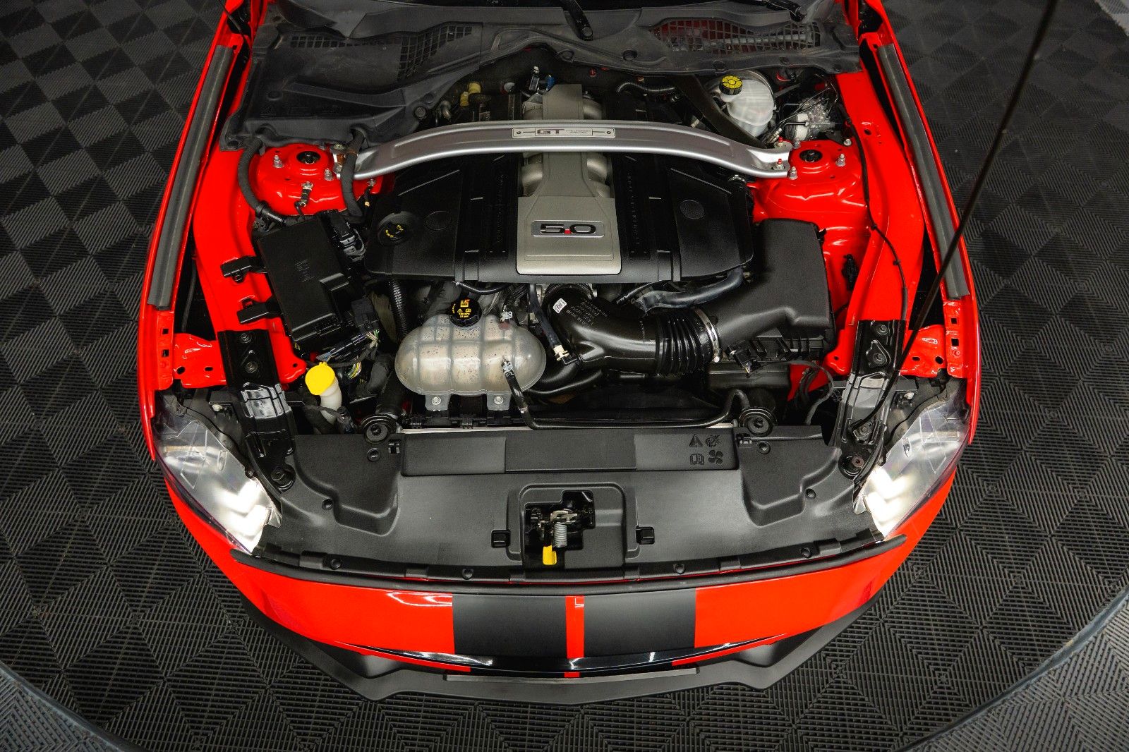 Fahrzeugabbildung Ford Mustang Shelby GT California Special PREMIUM LED