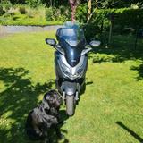 Honda Forza 300