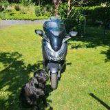 Honda Forza 300