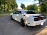 Dodge Challenger - Dodge Challenger aus 2019
