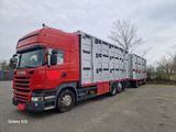 Scania R450 - Scania 6x4 R