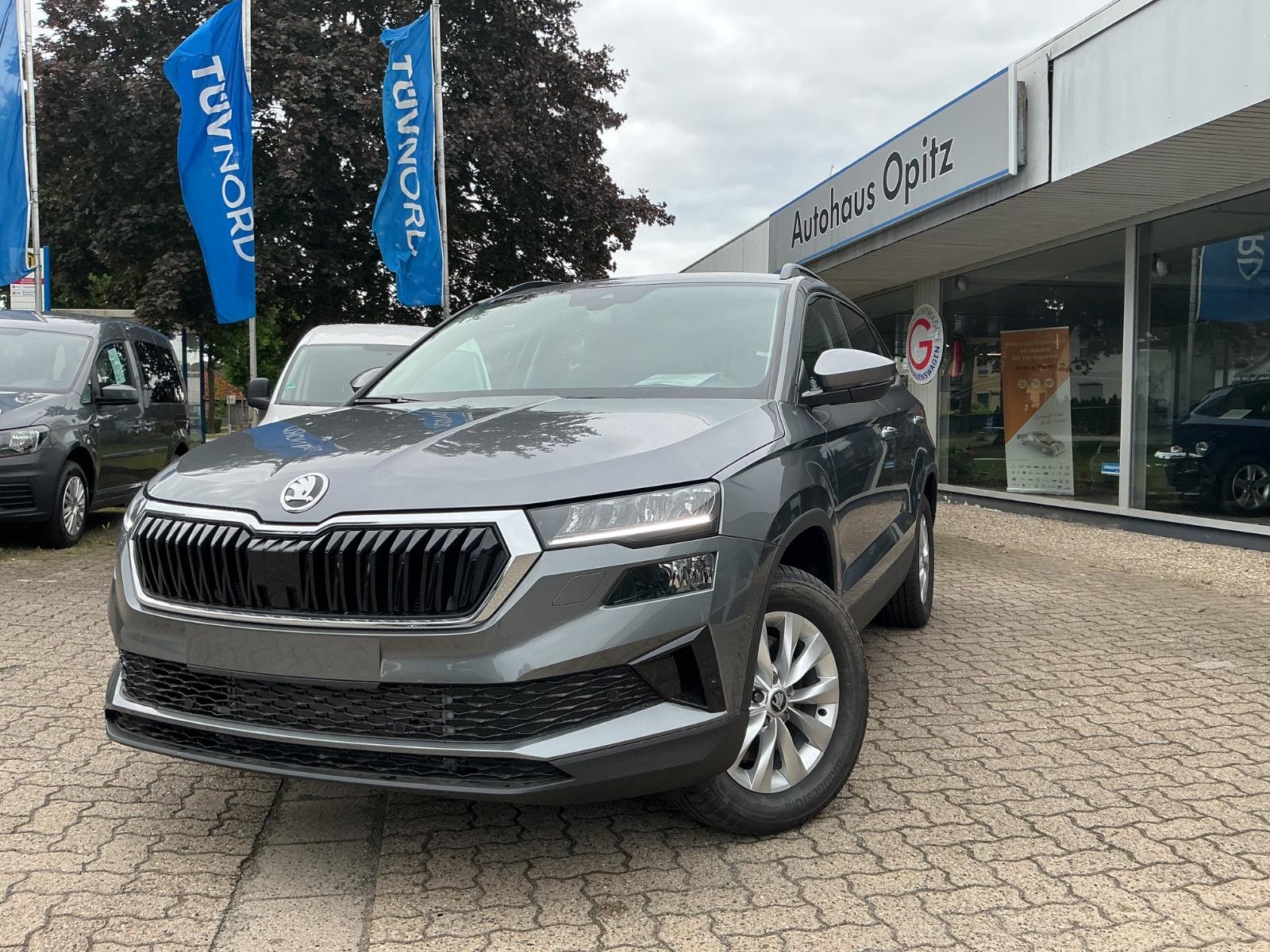 Skoda Karoq 2.0 TDI DSG 4x4 130 Jahre Edition *AHK*