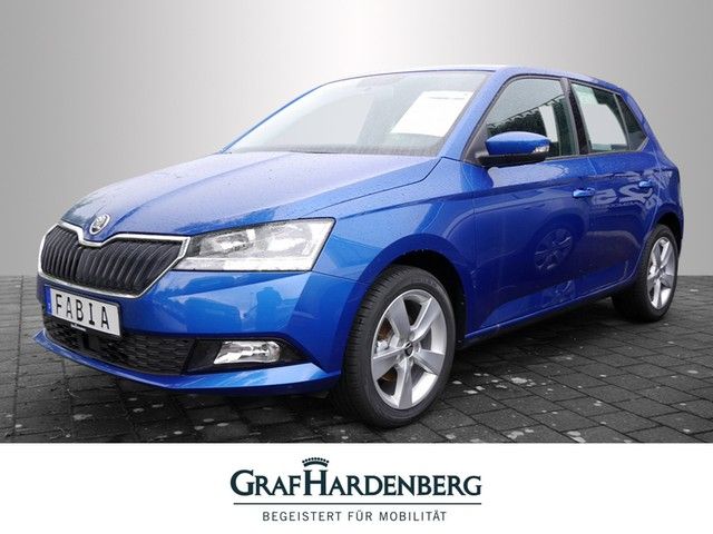 Skoda Fabia 1.0 TSI Cool & Sound Einparkhilfe hinten