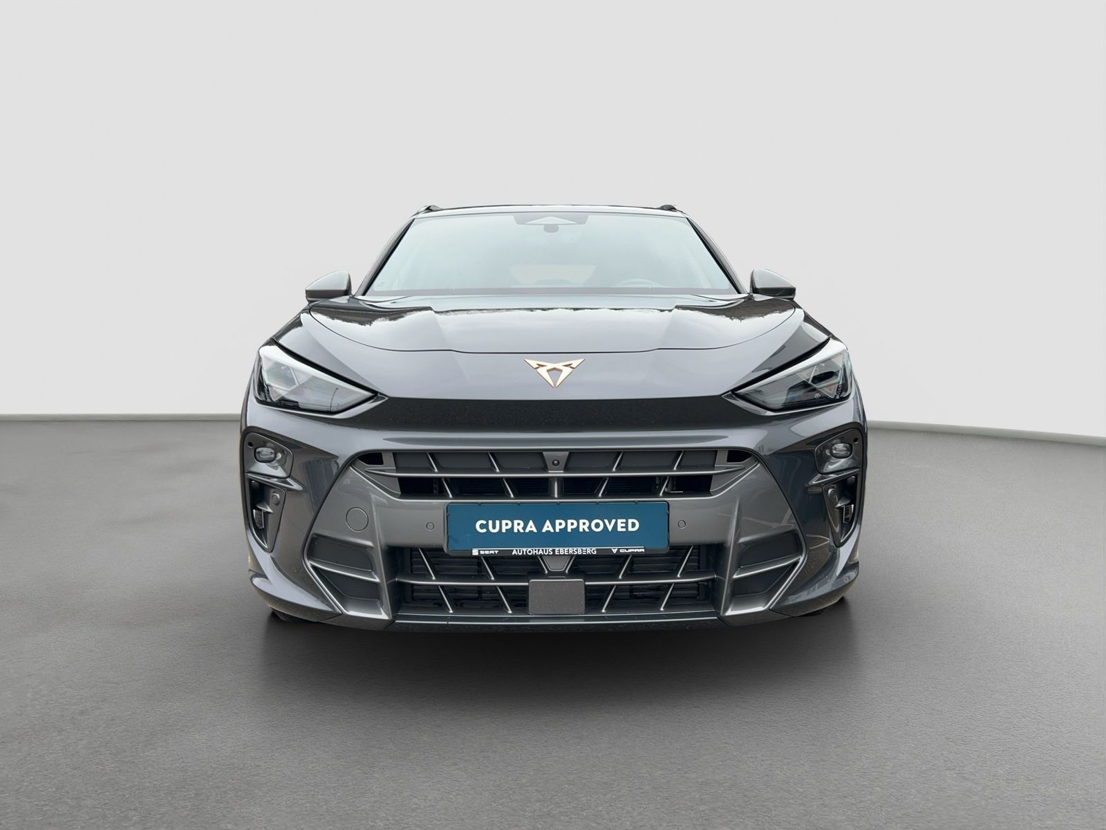 Cupra Terramar - Bild 2