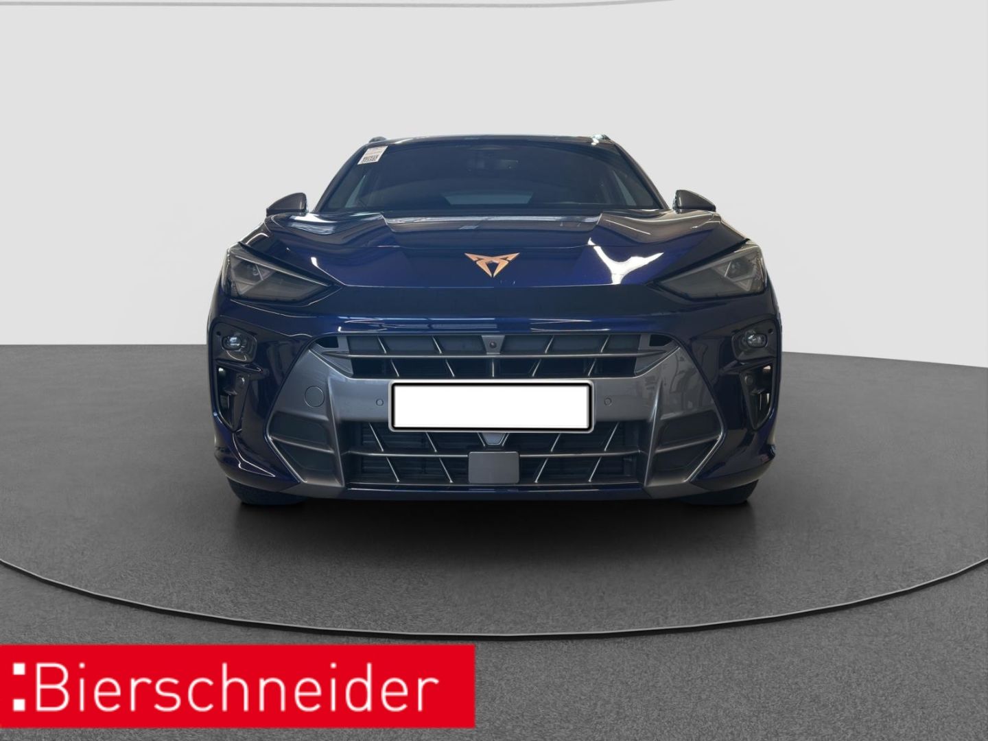 Cupra Terramar - Bild 3