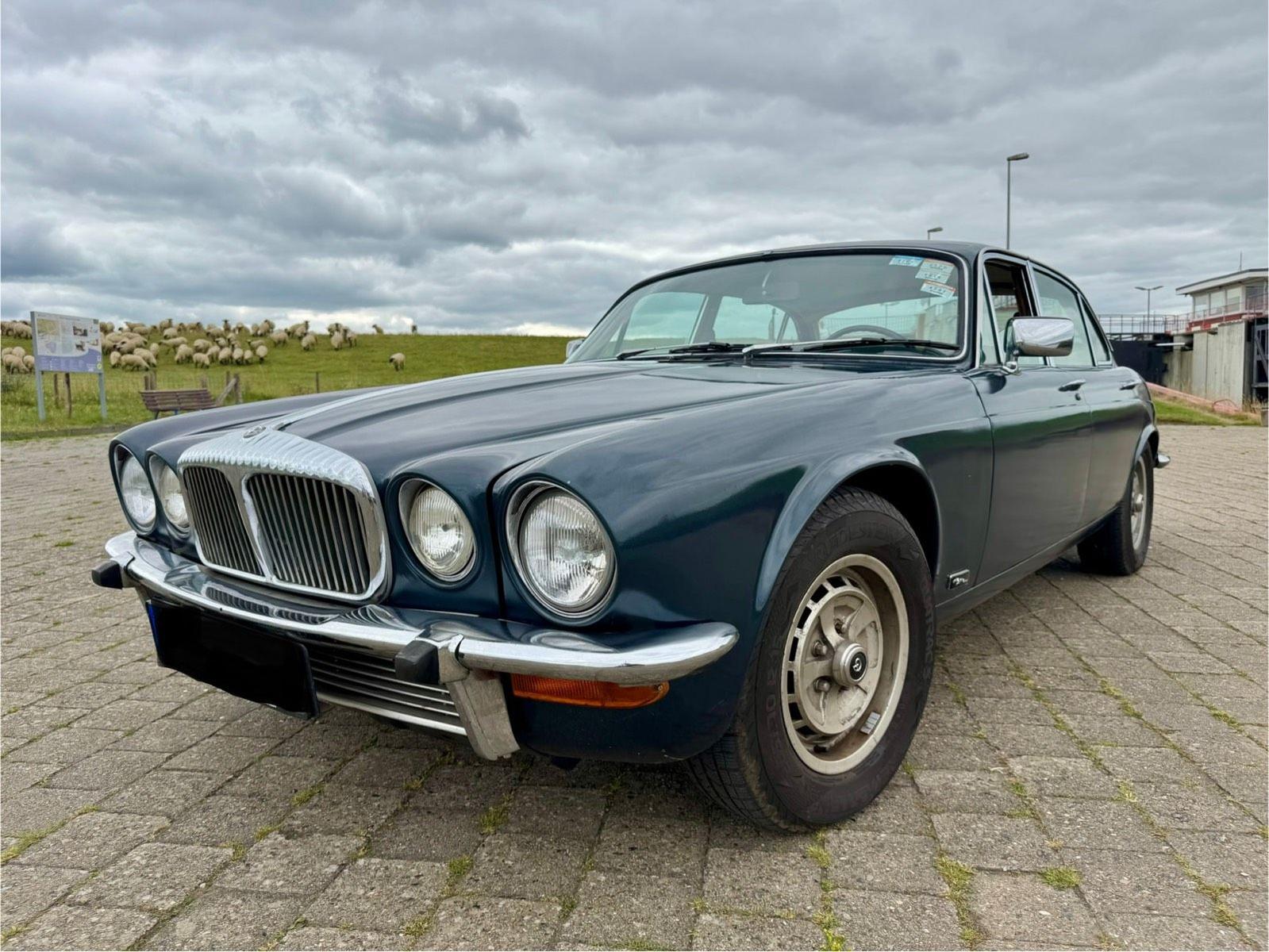 Jaguar Andere