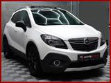 Opel Mokka Color Innovation Aut Glasdach Xenon Kamera - Opel Mokka mit Benzin-Antrieb: Automatik