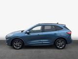 Ford Kuga 2.0 EcoBlue Aut. ST-LINE - : Blau, Beheizbare Frontscheibe