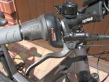 Trenoli Brenta comodo 500 Watt Bosch Shimano Nexus LED - Trenoli E-Bikes