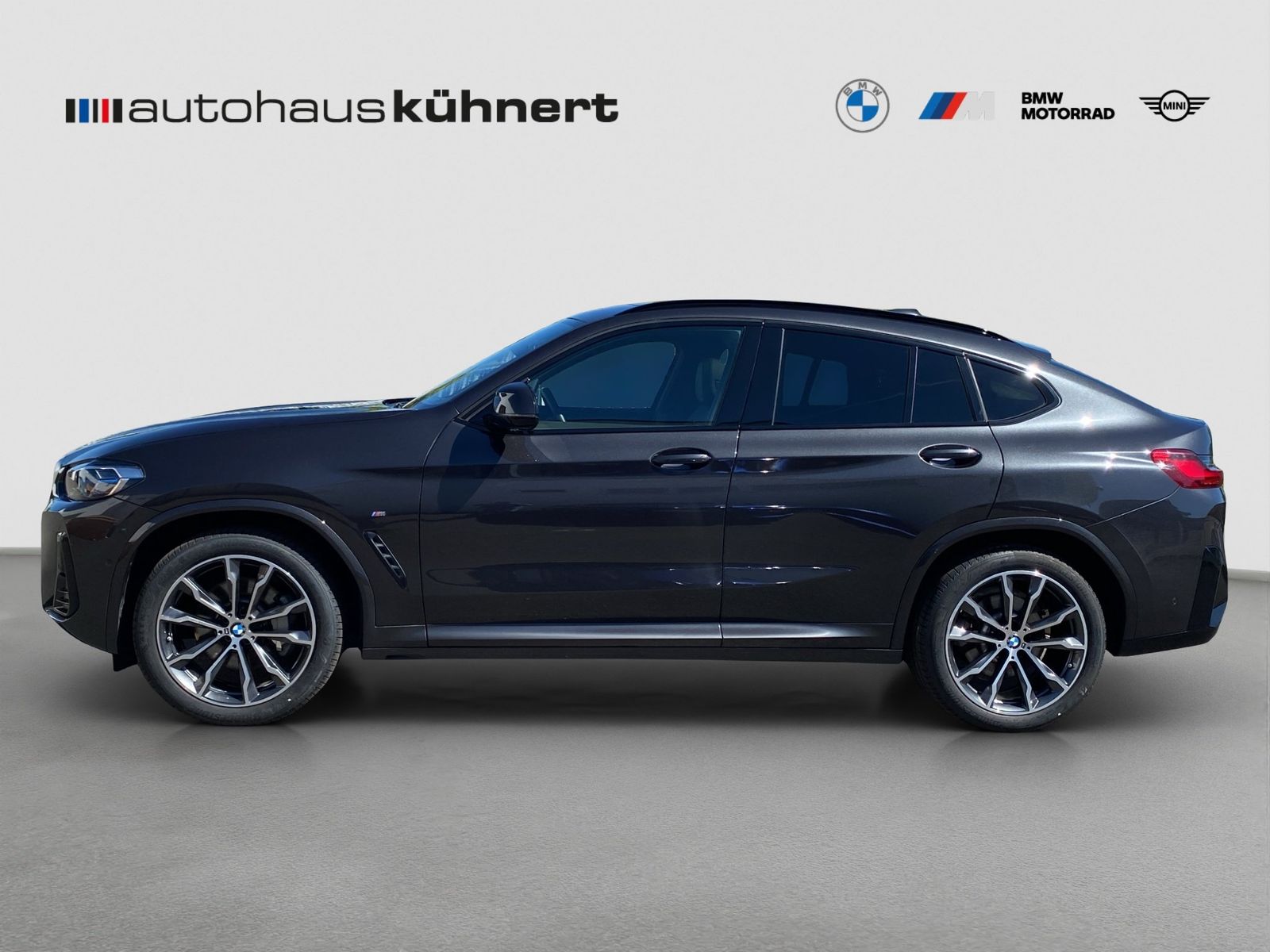 BMW X4 xDrive 30d M-Sport Laser ACC AHK Pano HiFi foto 4