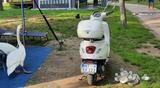Vespa sprint 125 - VESPA 125
