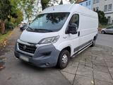 Fiat Ducato Kühlfahrzeug 2016 TÜV 7/27 - Fiat Ducato in Dortmund