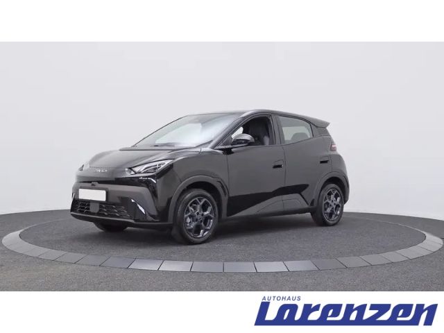 BYD Dolphin Surf 65 kW Boost Navi+Digitales Cockpit+