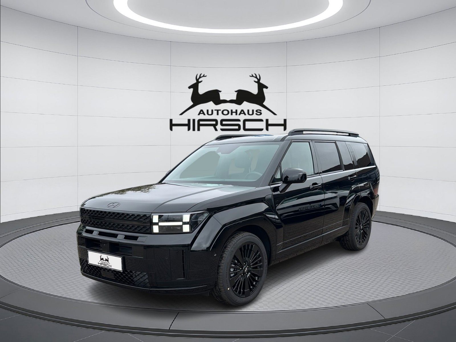 Hyundai SANTA FE - Bild 1