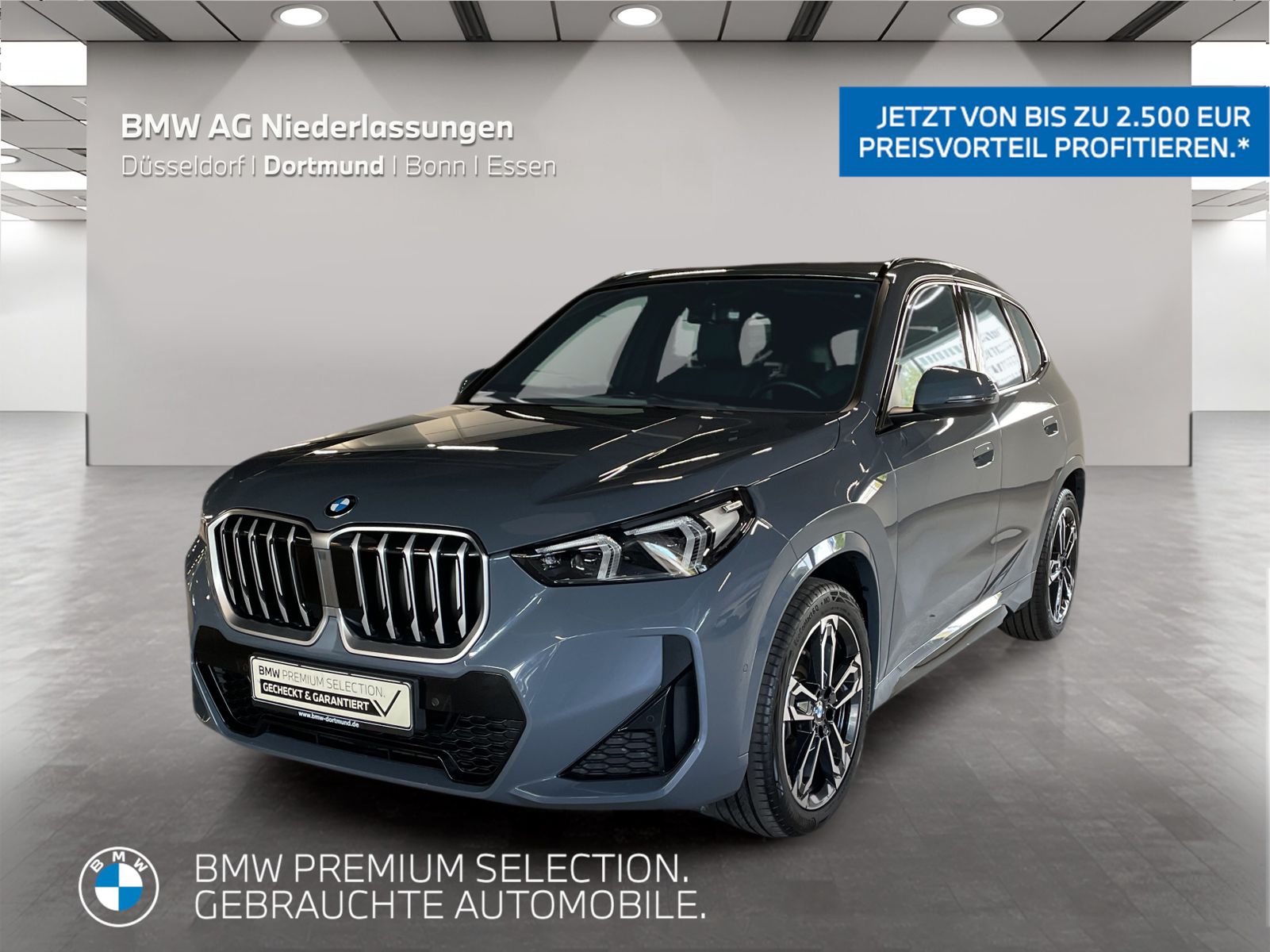 BMW X1 sDrive20i M Sport AHK Driv.Assist Harman K foto 1