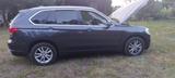 BMW X5 xDrive40d - Eleganter starker Hirsch - BMW: E40