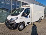 Fiat Ducato Kühlwagen V 300 MAX Fahr/ St - Kühlwagen