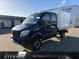Mercedes-Benz Sprinter 316 CDI 4x4 Doka Pritsche AHK 3,5T KLIM - Mercedes-Benz Sprinter: Doka Pritsche