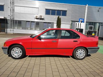 BMW 316 - 12