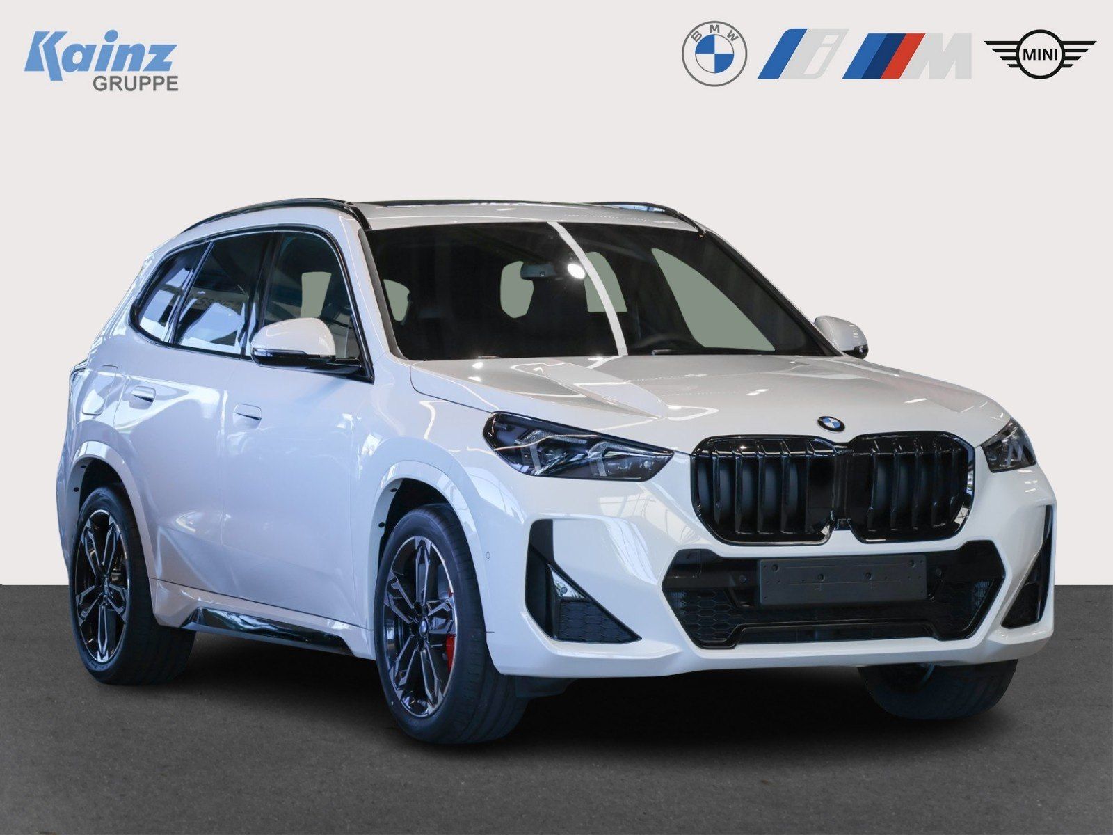 BMW X1 xDrive23d
