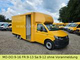 Volkswagen T6 *Elektro*AL-KO Maxi*Koffer ABT - Volkswagen T6 mit Elektro-Antrieb