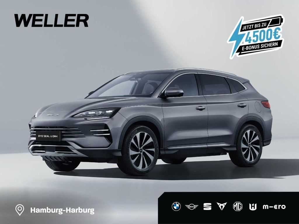 BYD Andere