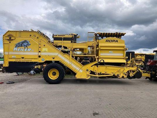 Andere Keiler 2 standard 4-Igel RK 21