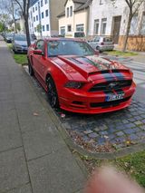 Ford Mustang v6 3.7 Tausch möglich - Ford Mustang aus 2013