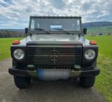 Mercedes-Benz G 250 Wolf - Mercedes-Benz G 250: Wolf