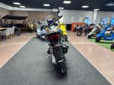 Moto Guzzi STELVIO E5+ YELLOW SAVANA - MOTO GUZZI STELVIO