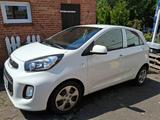 Kia Picanto 1.0 Sensation! white*KLIMA*HU bis Juli26 - Kia Picanto: Se