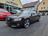 Audi A5 Cabrio 3.0TDI qu. S-tr B&O+ACC+LEDER+NAVI+XEN - Audi A5: Braun, Leder