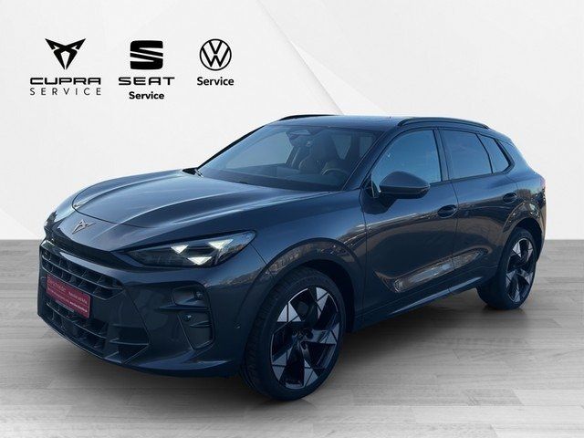 Cupra Terramar - Bild 2
