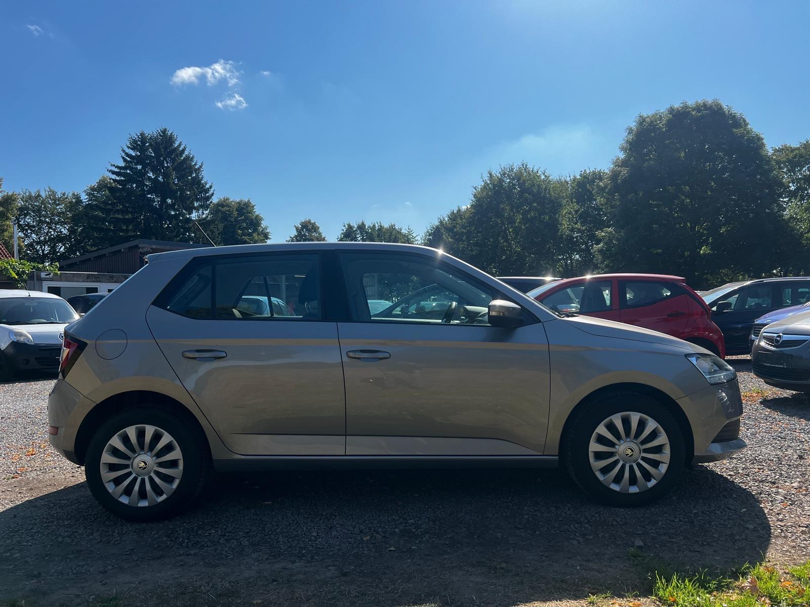 Skoda Fabia Cool Plus*62Tkm*Tüv05/28*Garantie*
