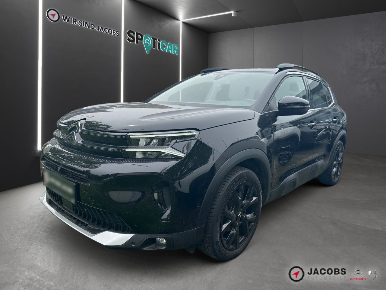Citroën C5 Aircross BlueHDI 130 EAT8 MAX imagem 2