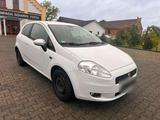 Fiat Punto 1.3 Ez:2009 Klima   TÜV 11/26 V... - Fiat Punto: 11
