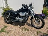 Harley-Davidson Sportster 883 XL2 - Angebote