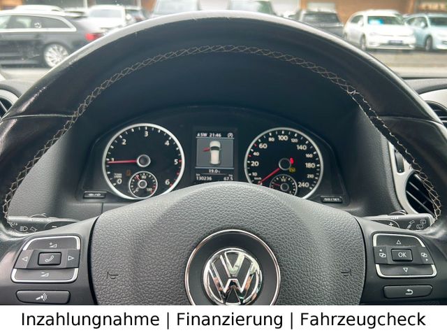 Bild 13