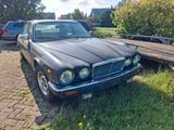 Jaguar XJ6 - schwarze Jaguar XJ6