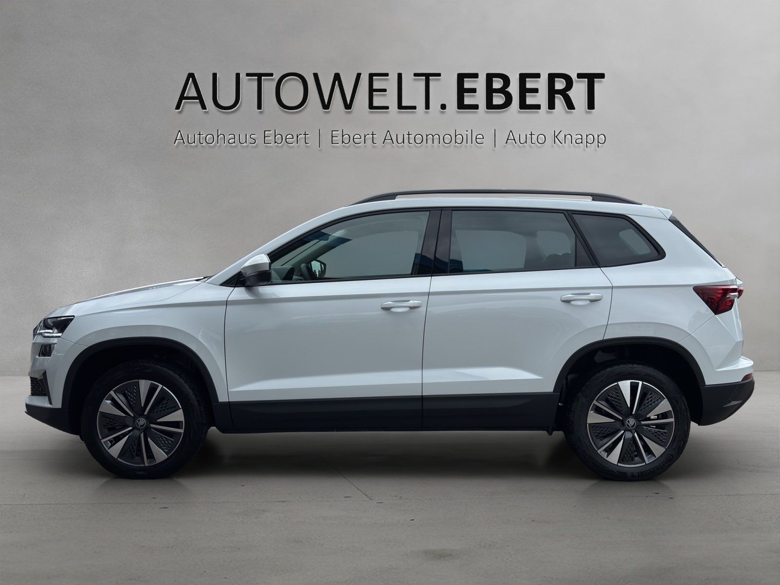 Fahrzeugabbildung SKODA Karoq Balance 1,5 TSI 110 kW DSG MATRIX/RFK/AHK