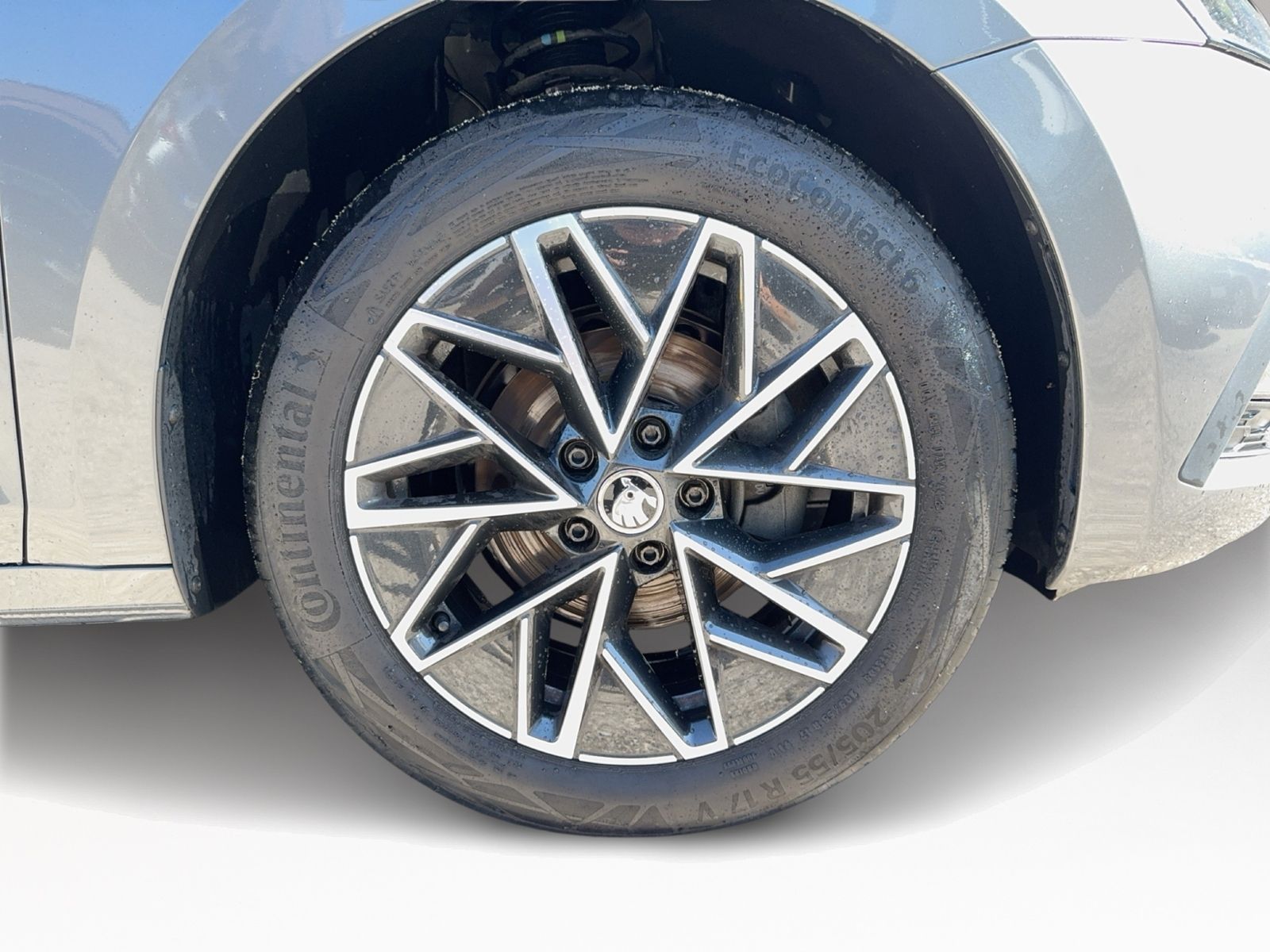 Octavia Combi 1.5 TSI Clever, Navi, AHK Vorb., A