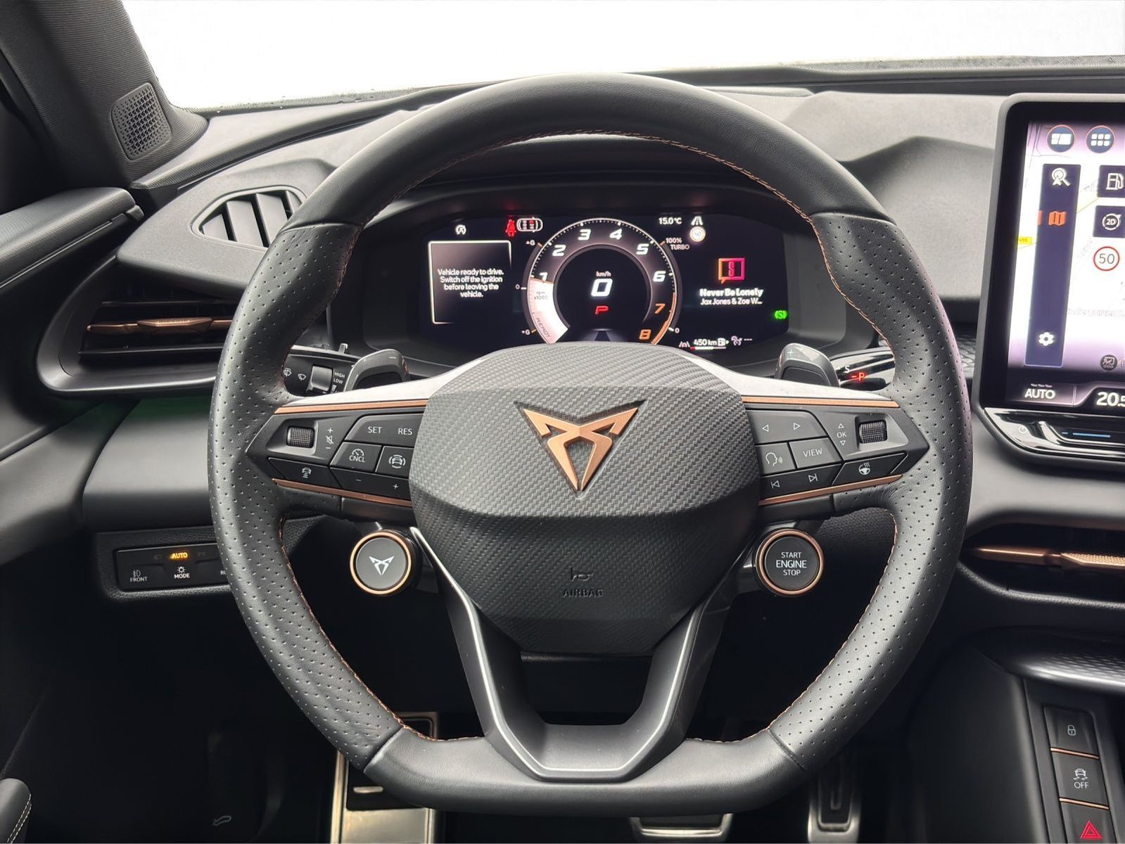 Cupra Terramar - Bild 11