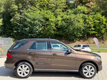 Mercedes GLE 250 - 2
